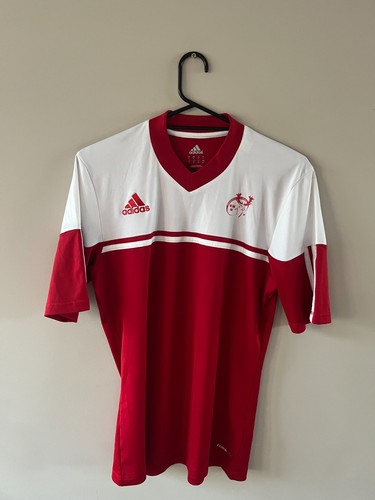 Munster rugby 2013 - 2013, 2014
